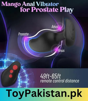 anal plug in pakistan