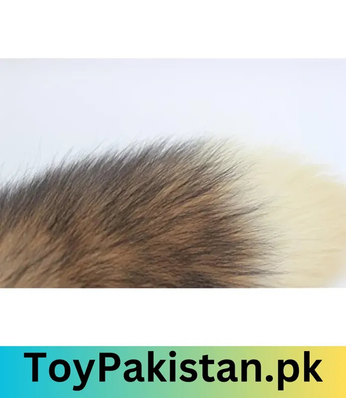 best sex toys for female in pakistan