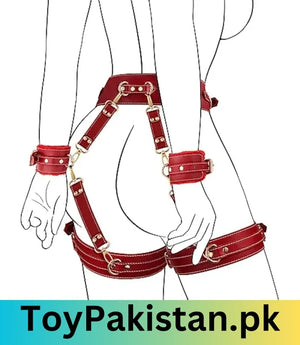 male and female adult sex toys