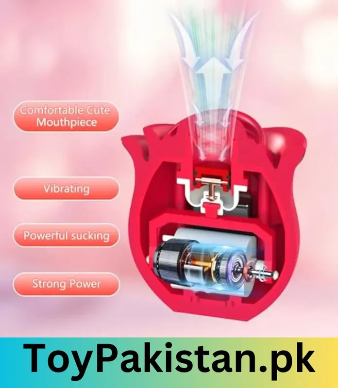 order sex toys in lahore
